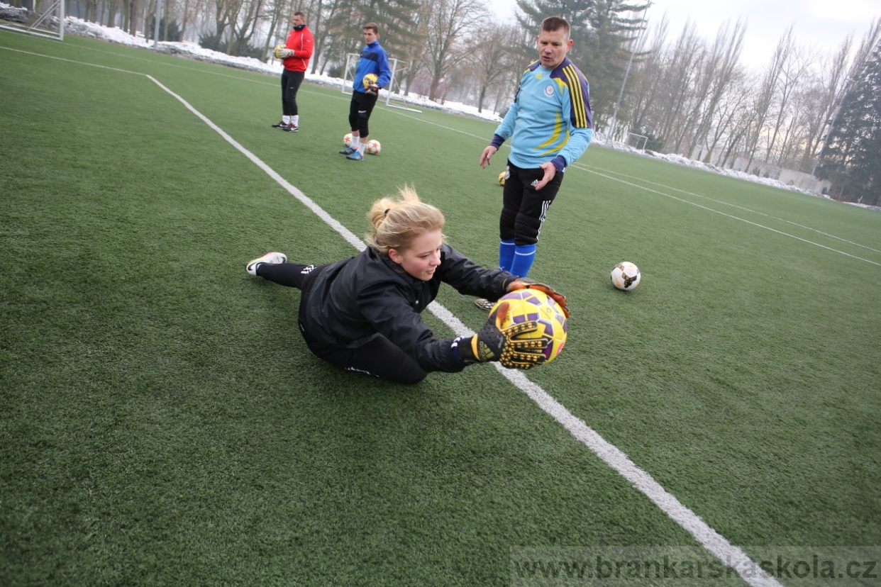 BFŠJCH - Zima 2017 - 5.2,2017