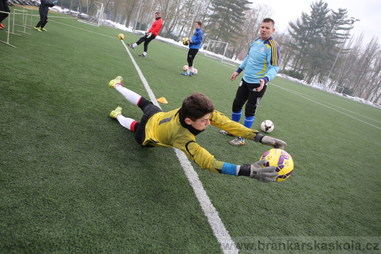 BFŠJCH - Zima 2017 - 5.2,2017