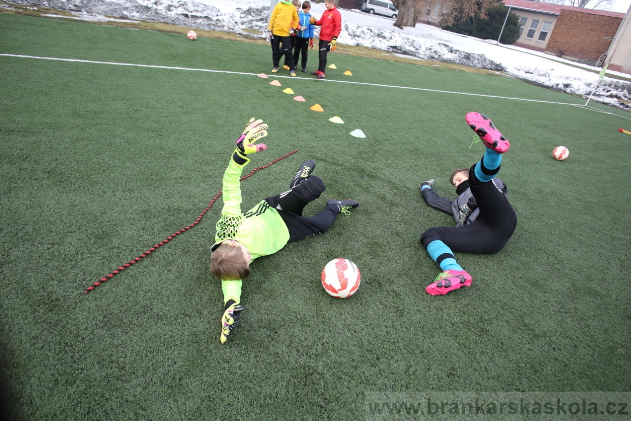 BFŠJCH - Zima 2017 - 5.2,2017