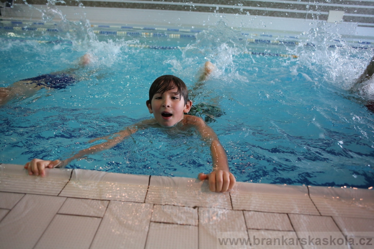 BFŠJCH - Zima 2017 - 5.2,2017