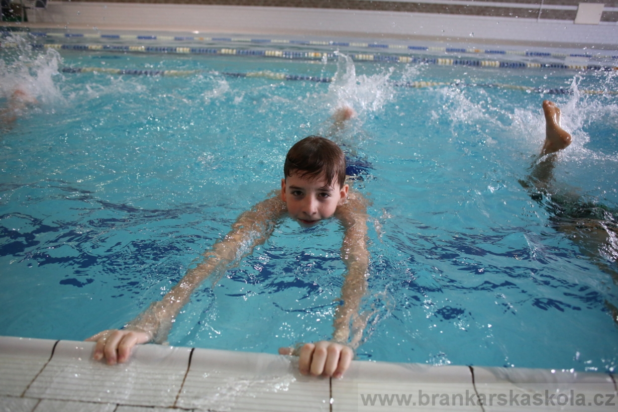 BFŠJCH - Zima 2017 - 5.2,2017