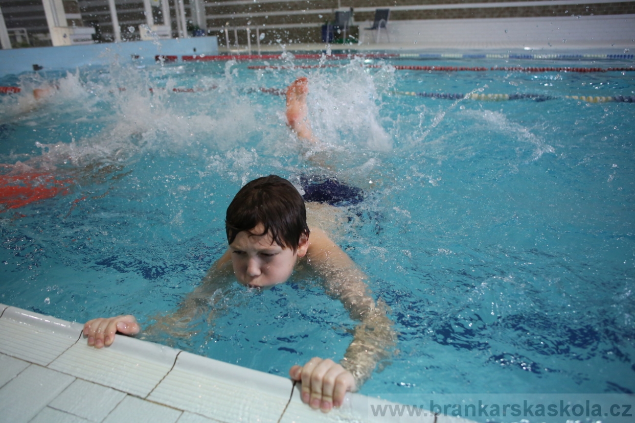 BFŠJCH - Zima 2017 - 5.2,2017