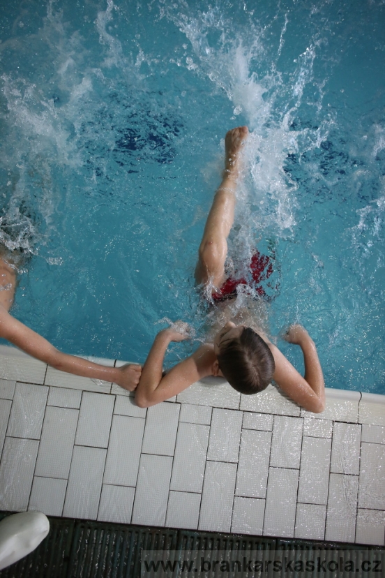 BFŠJCH - Zima 2017 - 5.2,2017