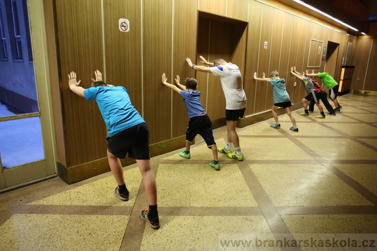 BFŠJCH - Zima 2017 - Ostatní