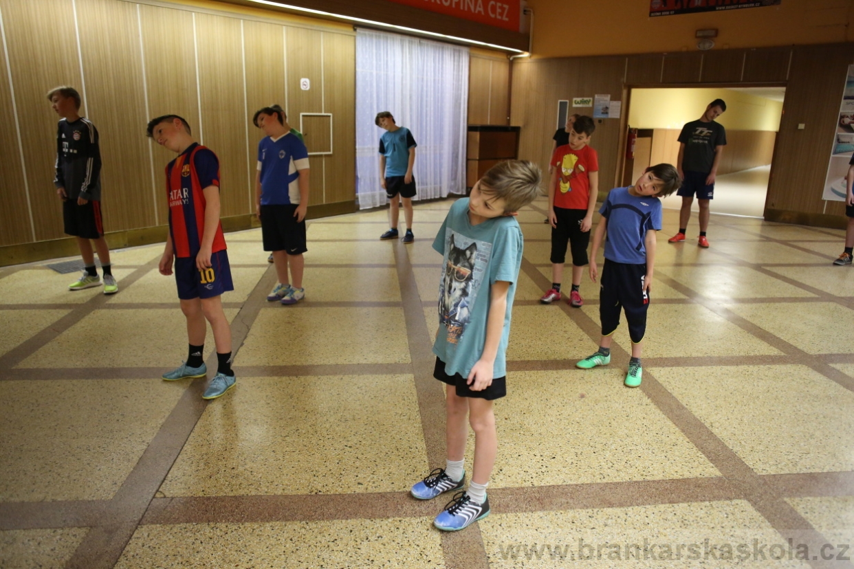 BFŠJCH - Zima 2017 - Ostatní