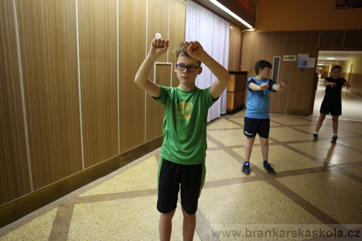 BFŠJCH - Zima 2017 - Ostatní