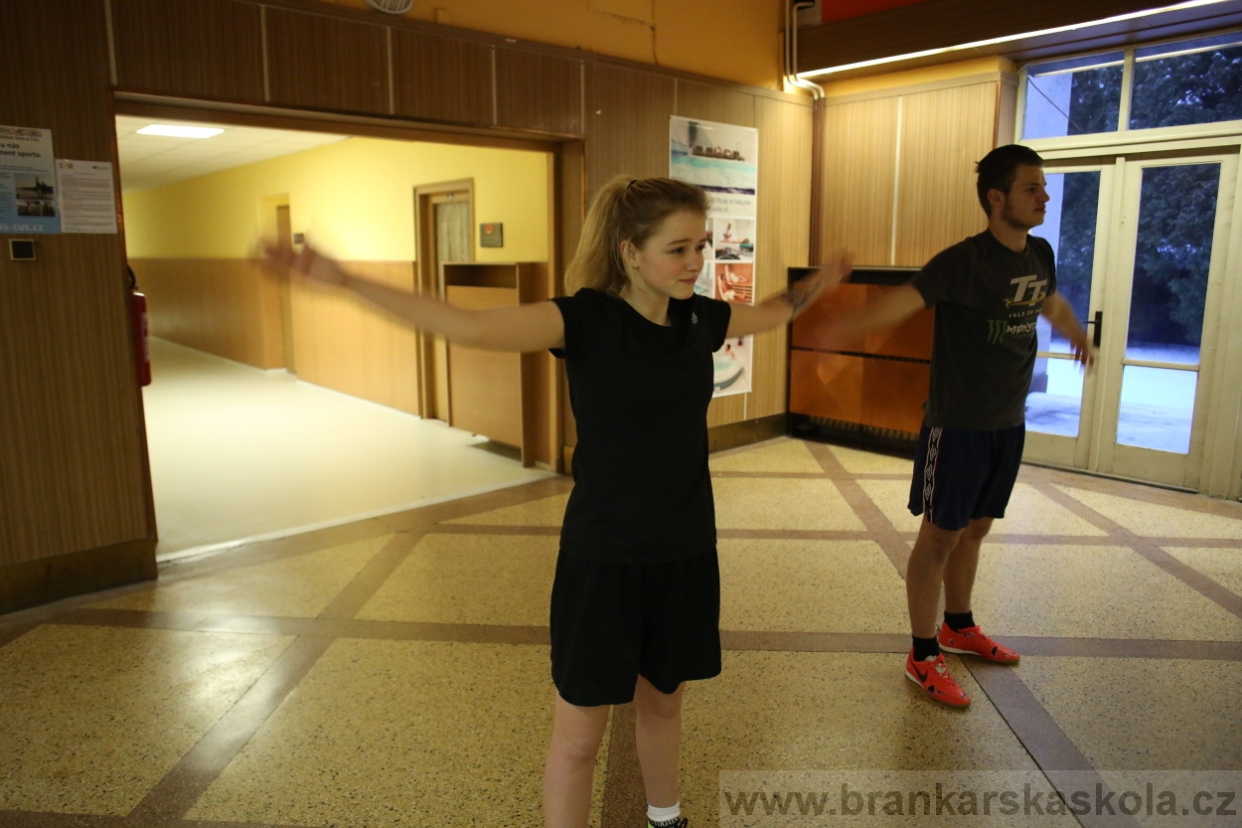 BFŠJCH - Zima 2017 - Ostatní