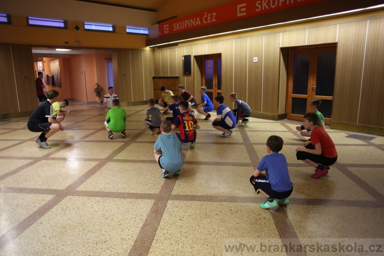 BFŠJCH - Zima 2017 - Ostatní