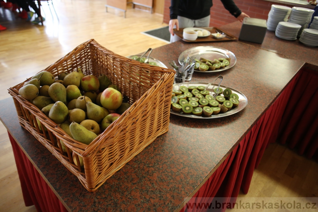 BFŠJCH - Zima 2017 - Ostatní