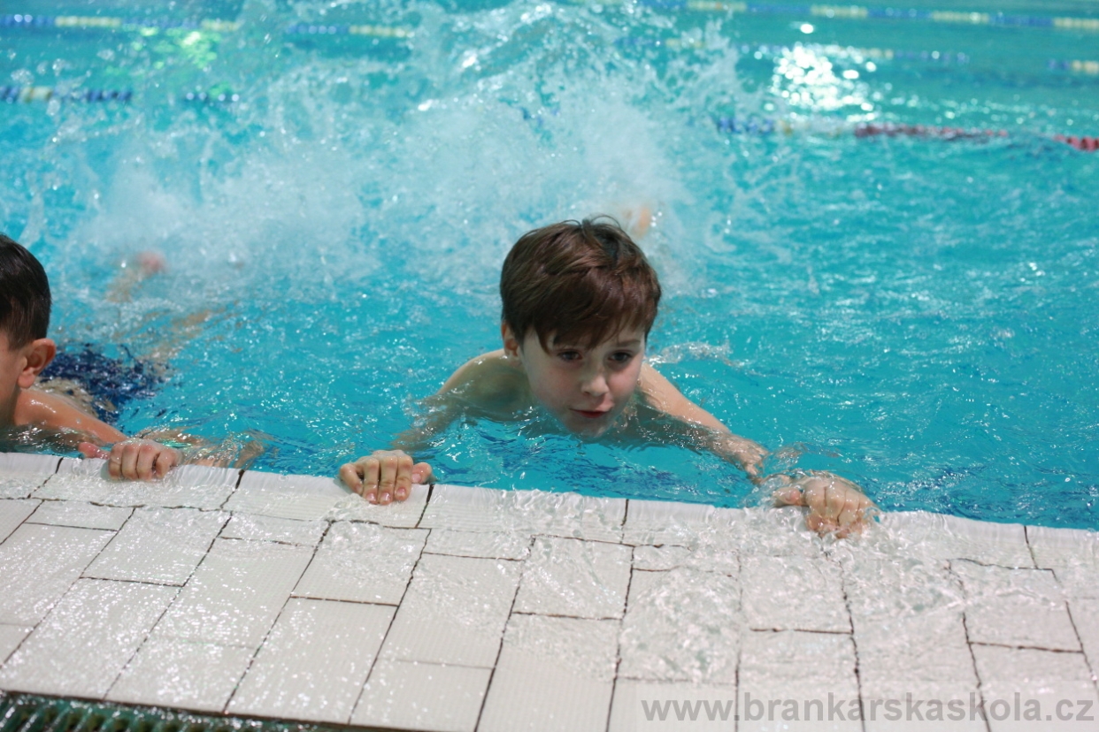 BFŠJCH - Zima 2018 - Čtvrtek