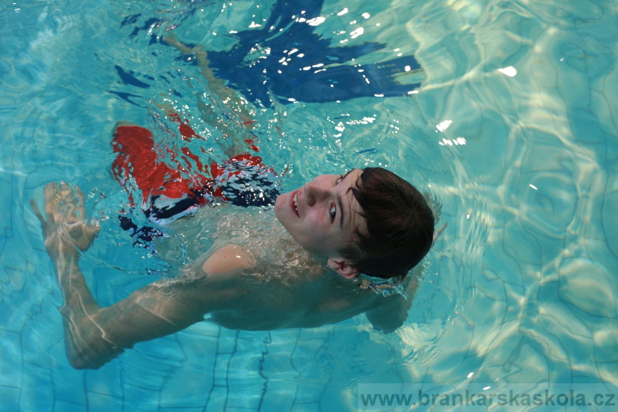 BFŠJCH - Zima 2018 - Čtvrtek