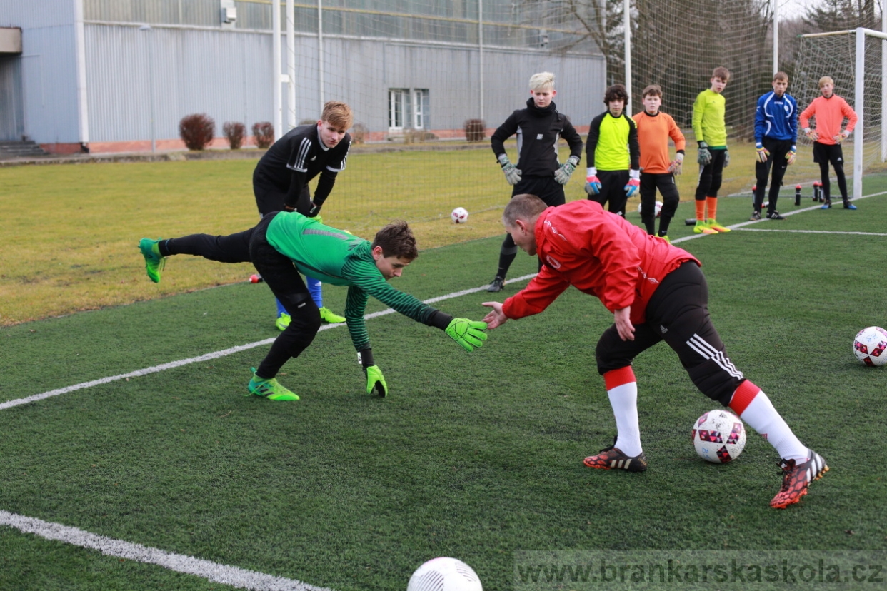 BFŠJCH - Zima 2018 - Pátek
