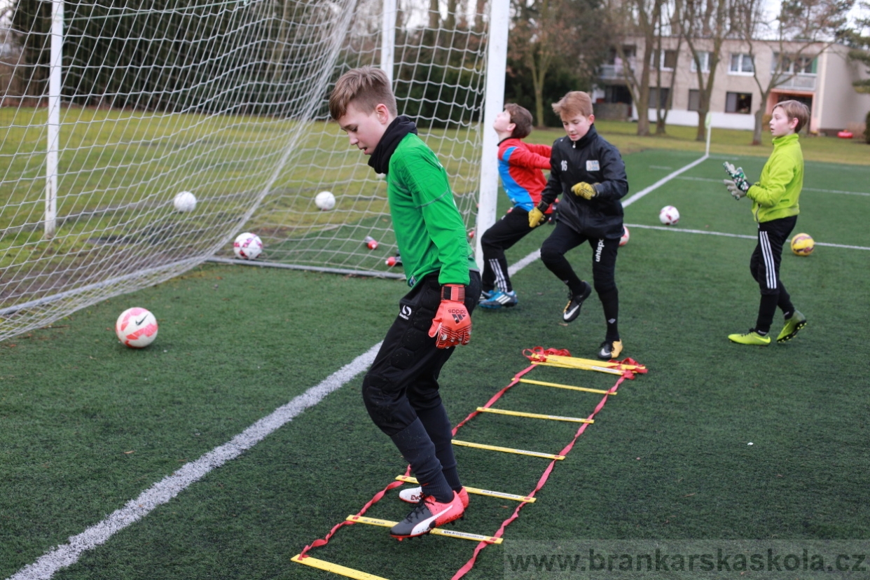 BFŠJCH - Zima 2018 - Pátek