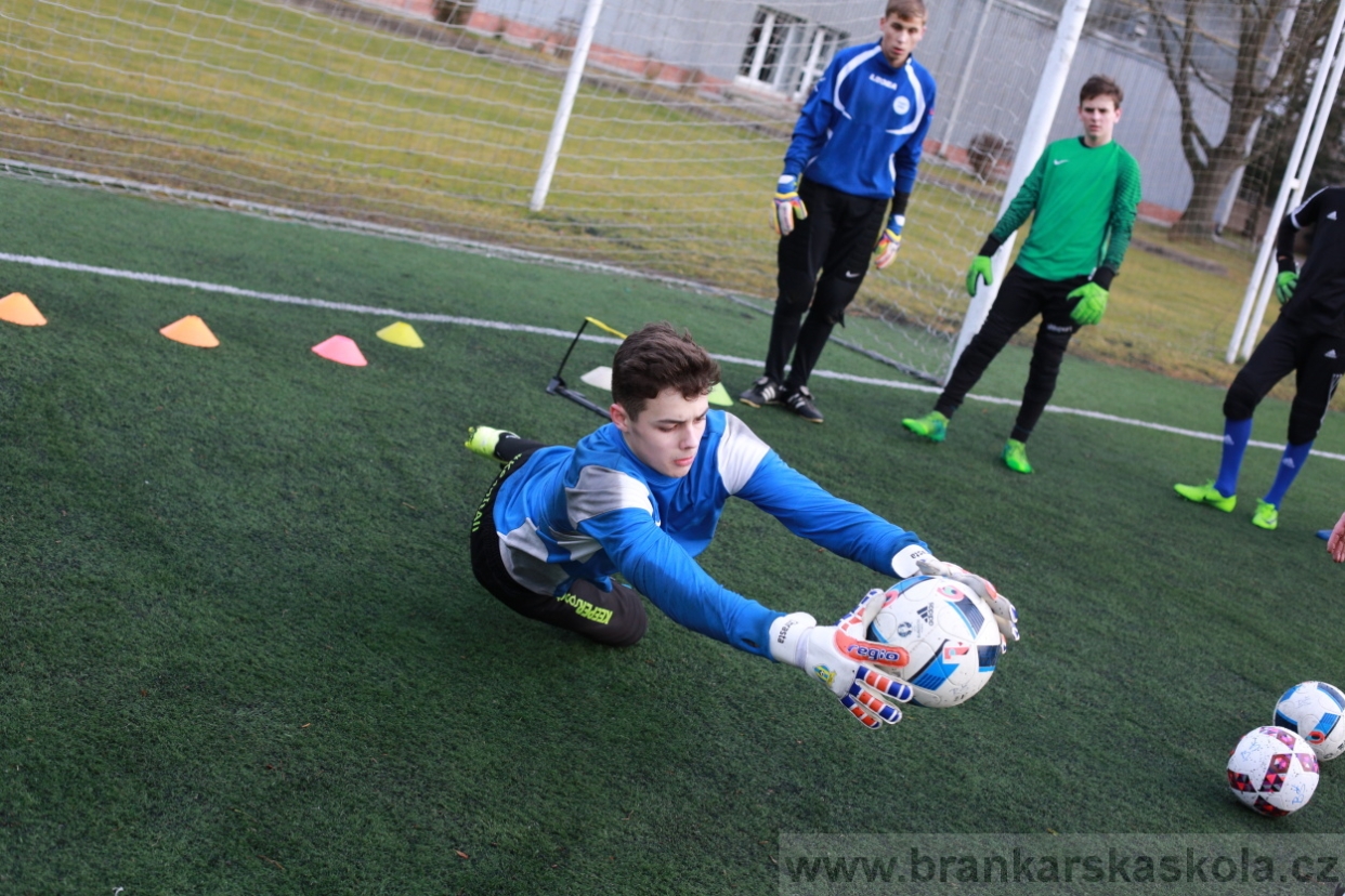 BFŠJCH - Zima 2018 - Pátek