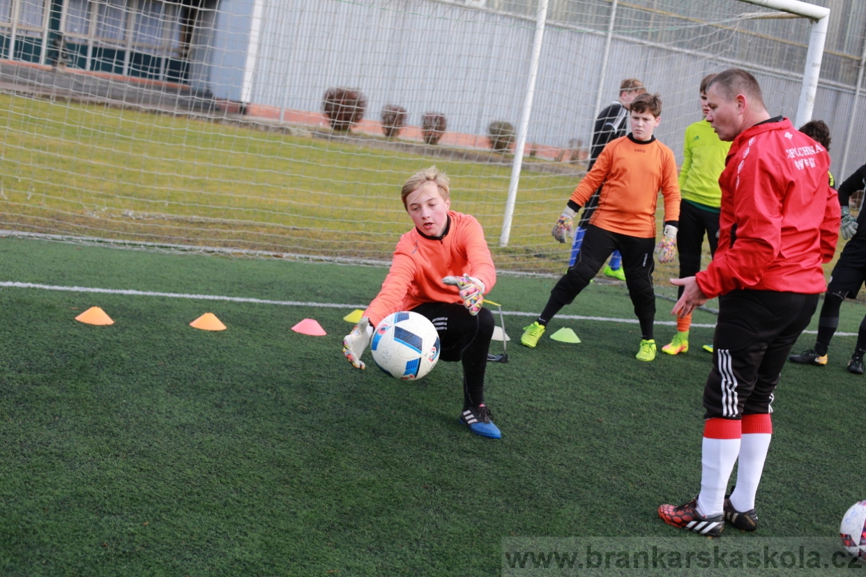 BFŠJCH - Zima 2018 - Pátek