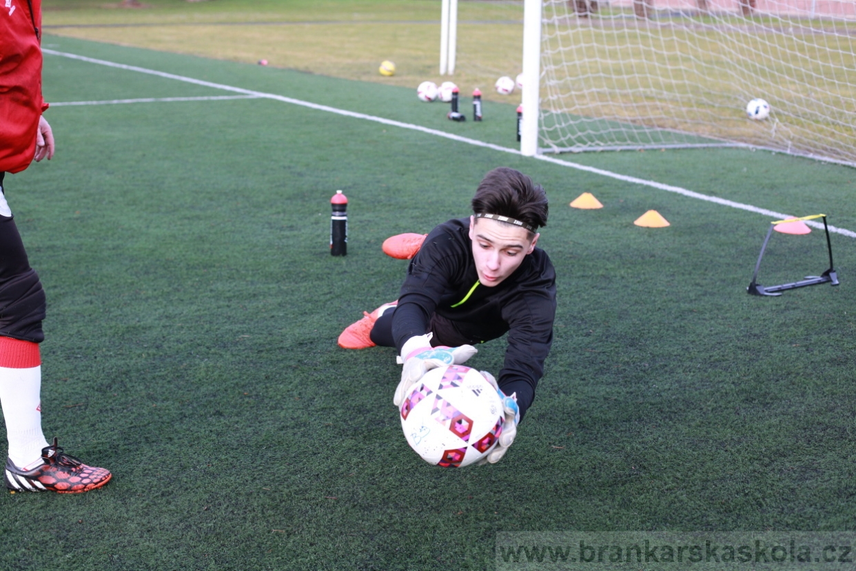 BFŠJCH - Zima 2018 - Pátek