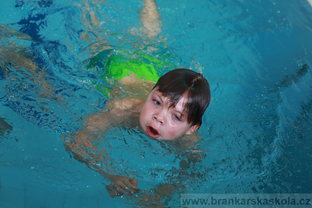 BFŠJCH - Zima 2018 - Pátek