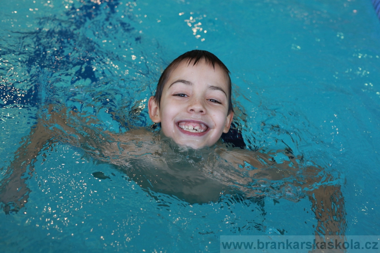 BFŠJCH - Zima 2018 - Pátek