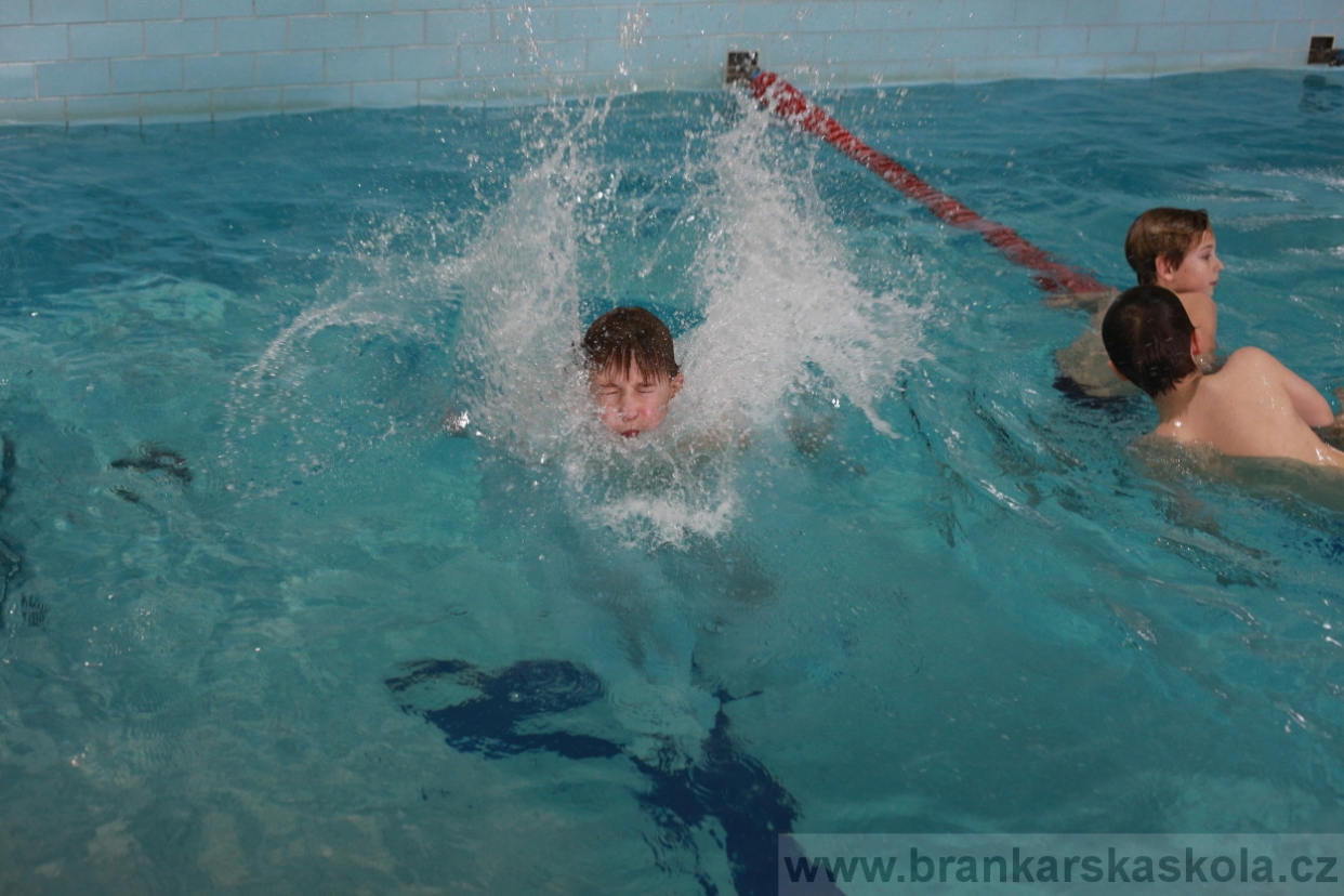 BFŠJCH - Zima 2018 - Pátek