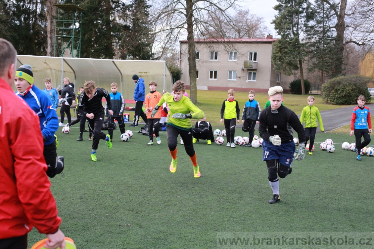 BFŠJCH - Zima 2018 - Pátek