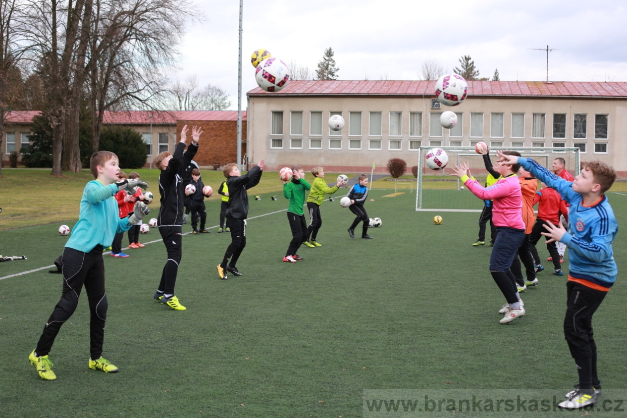 BFŠJCH - Zima 2018 - Pátek