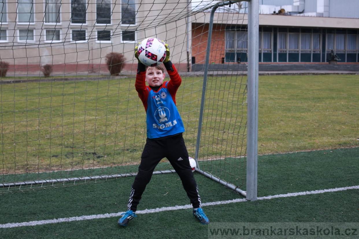 BFŠJCH - Zima 2018 - Pátek