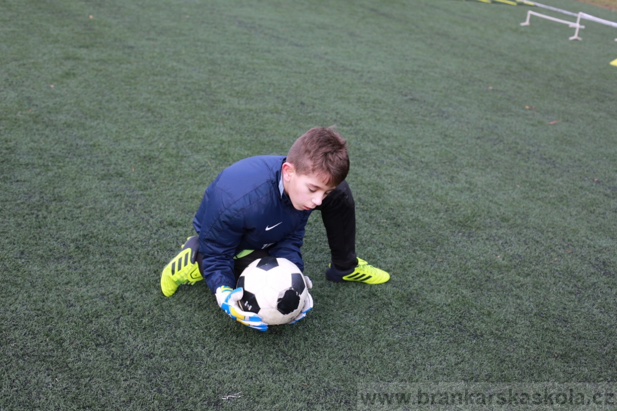 BFŠJCH - Zima 2018 - Pátek