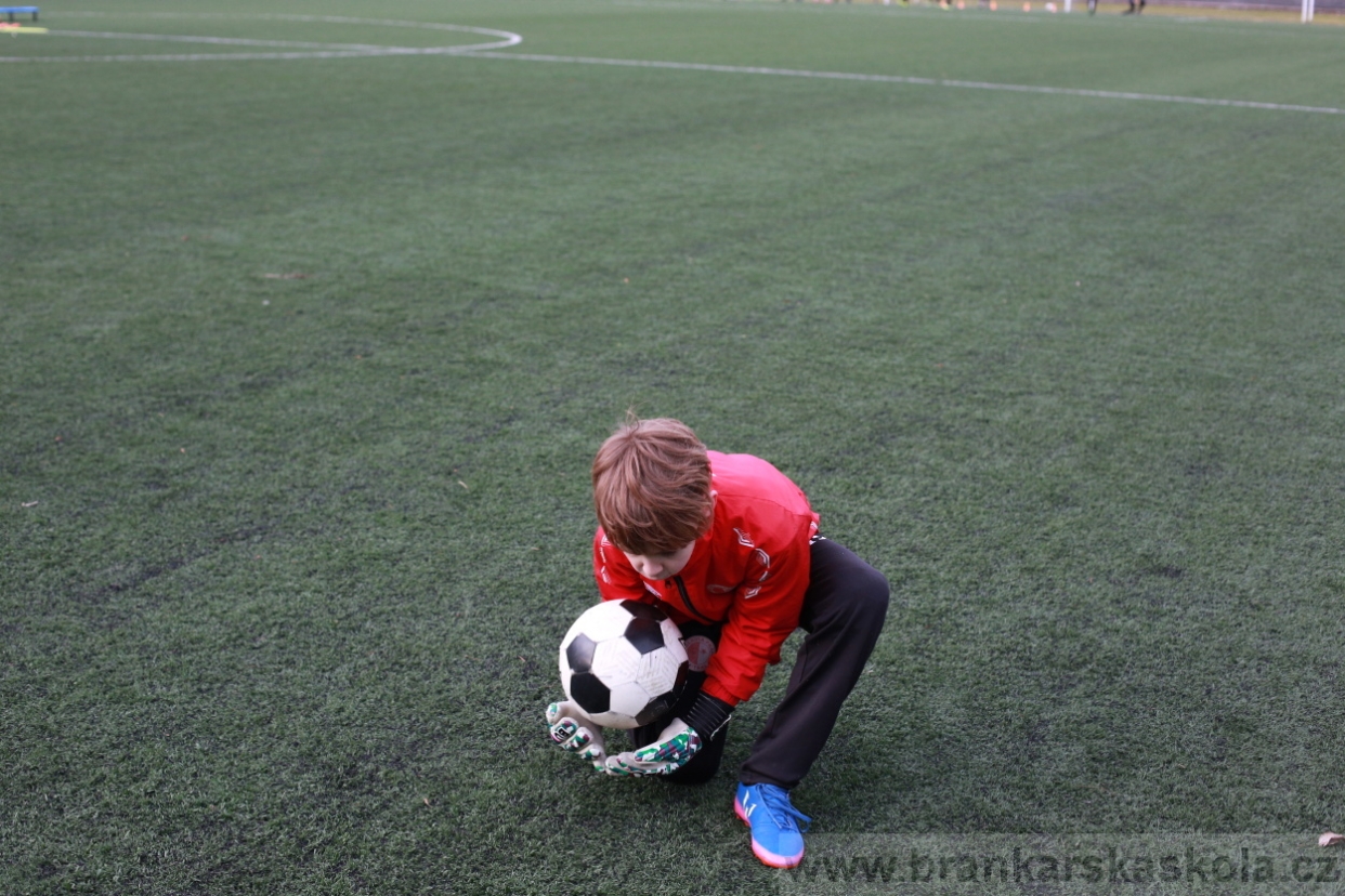 BFŠJCH - Zima 2018 - Pátek