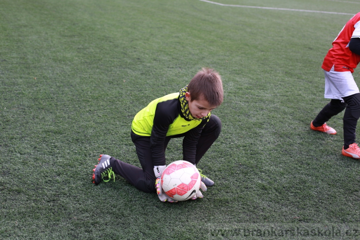 BFŠJCH - Zima 2018 - Pátek