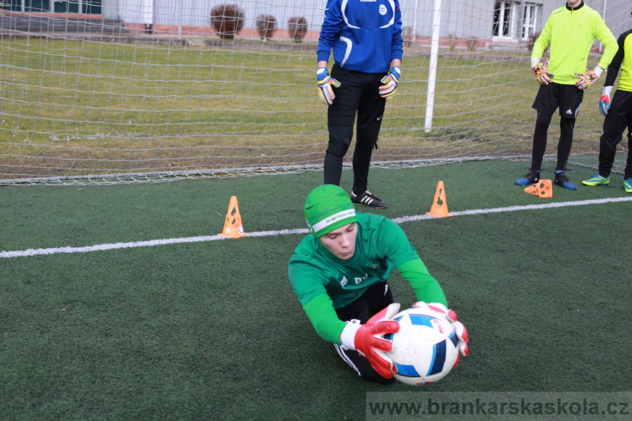 BFŠJCH - Zima 2018 - Pátek