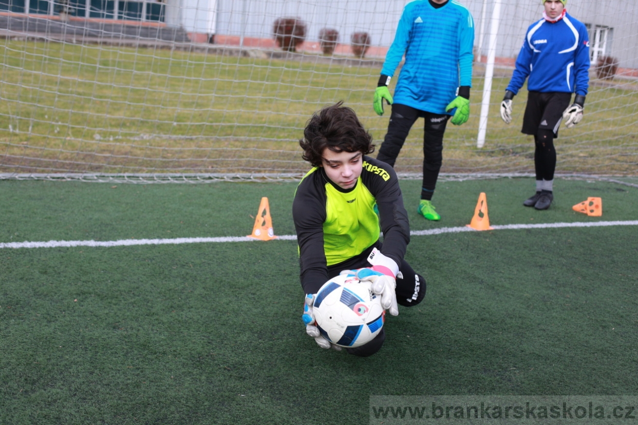 BFŠJCH - Zima 2018 - Pátek