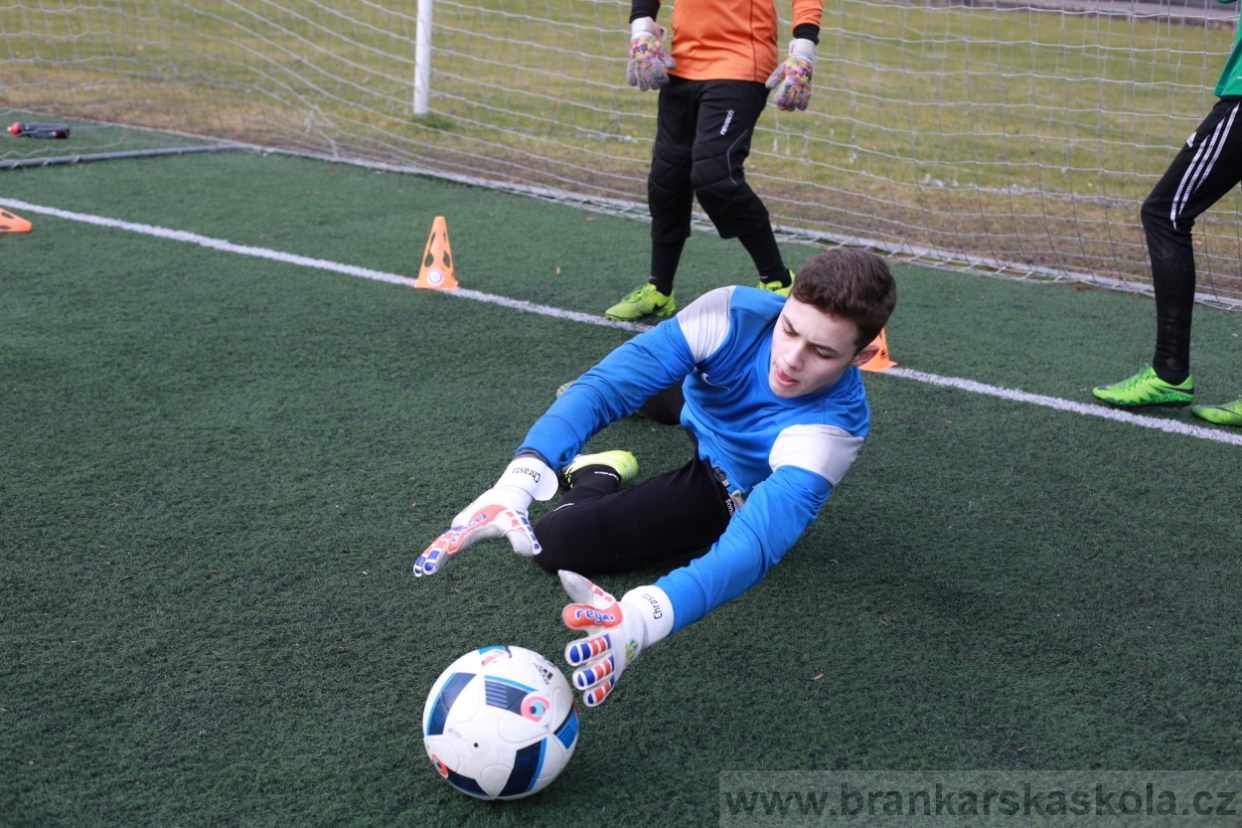 BFŠJCH - Zima 2018 - Pátek