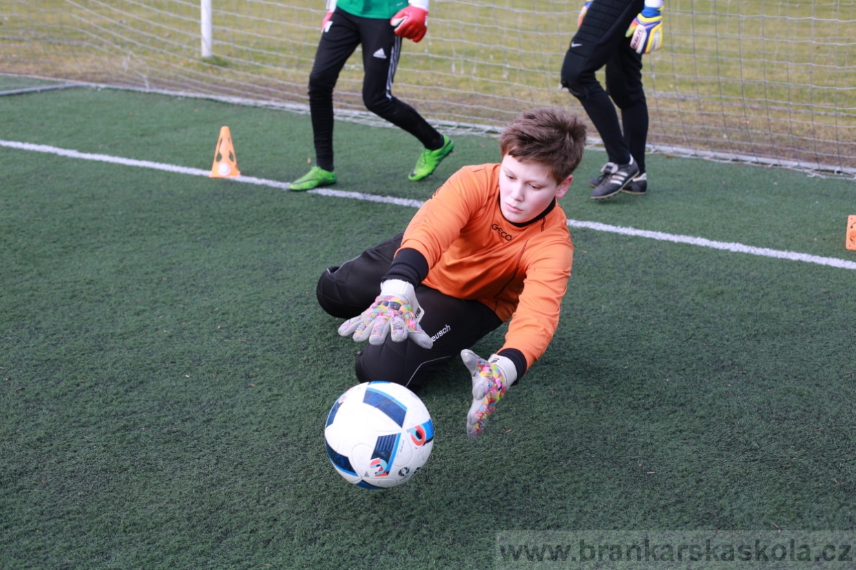 BFŠJCH - Zima 2018 - Pátek