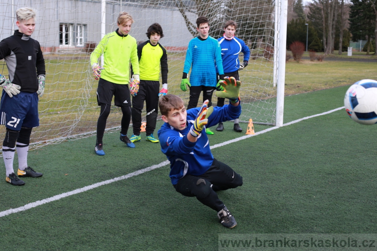 BFŠJCH - Zima 2018 - Pátek