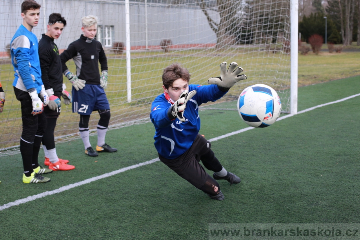 BFŠJCH - Zima 2018 - Pátek
