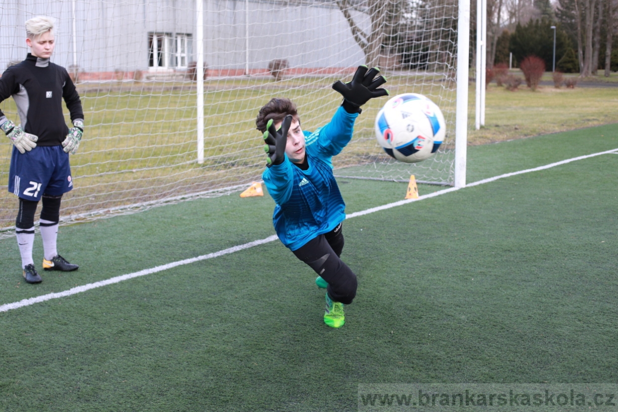 BFŠJCH - Zima 2018 - Pátek