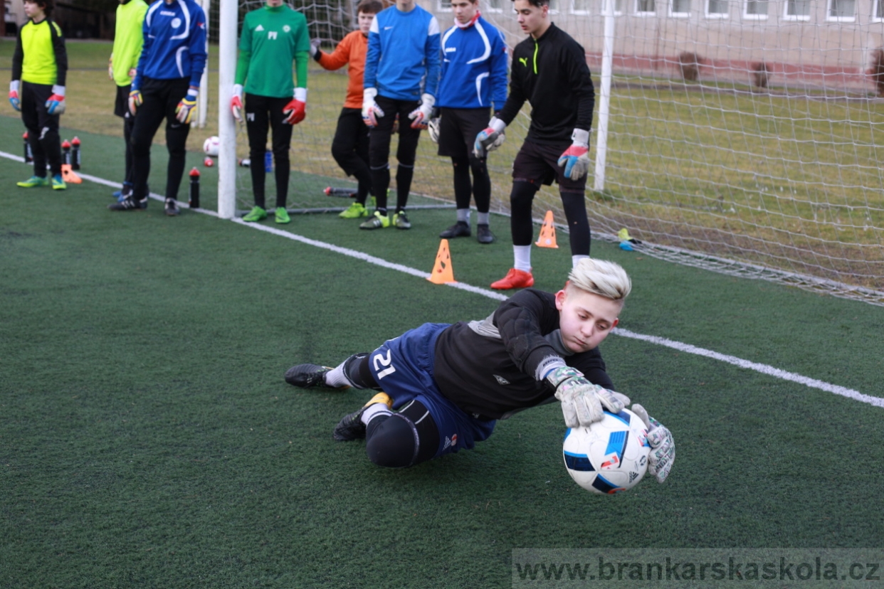 BFŠJCH - Zima 2018 - Pátek