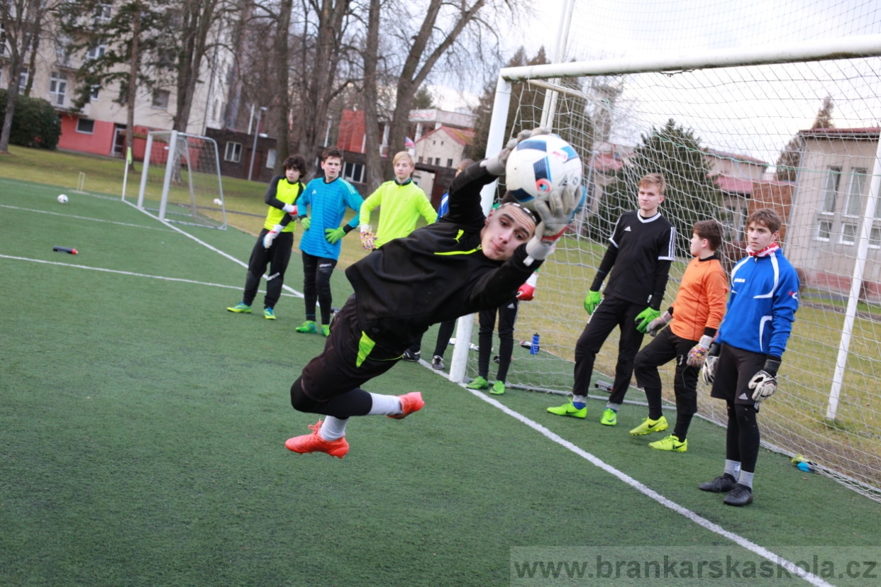 BFŠJCH - Zima 2018 - Pátek