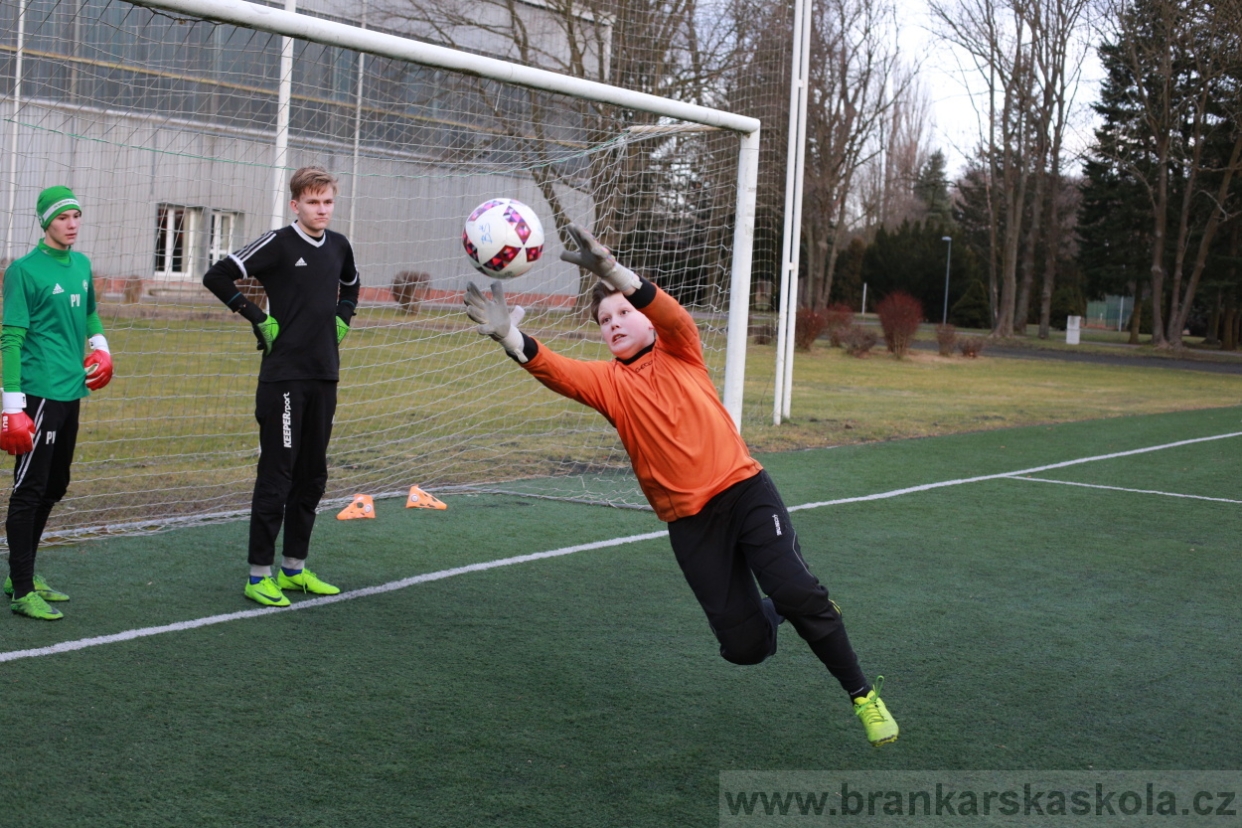 BFŠJCH - Zima 2018 - Pátek