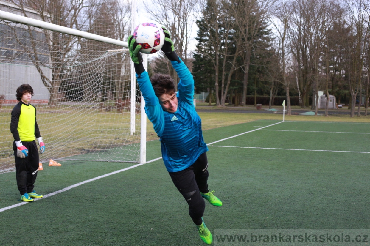 BFŠJCH - Zima 2018 - Pátek