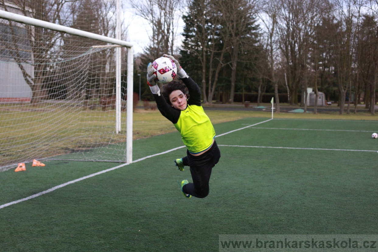 BFŠJCH - Zima 2018 - Pátek