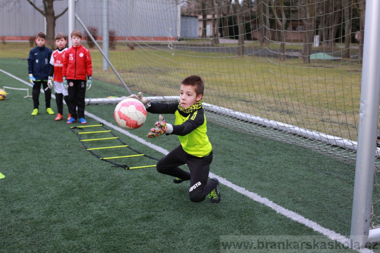 BFŠJCH - Zima 2018 - Pátek