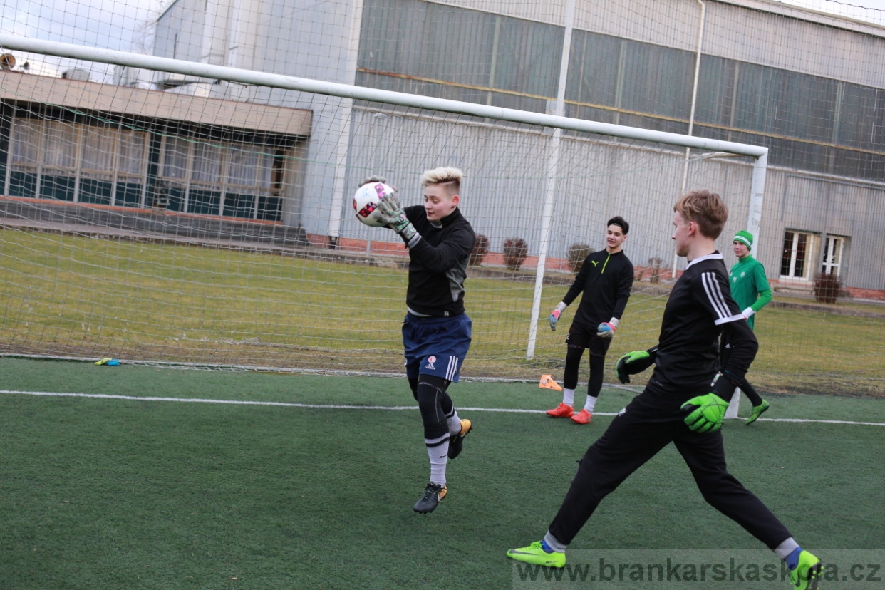 BFŠJCH - Zima 2018 - Pátek