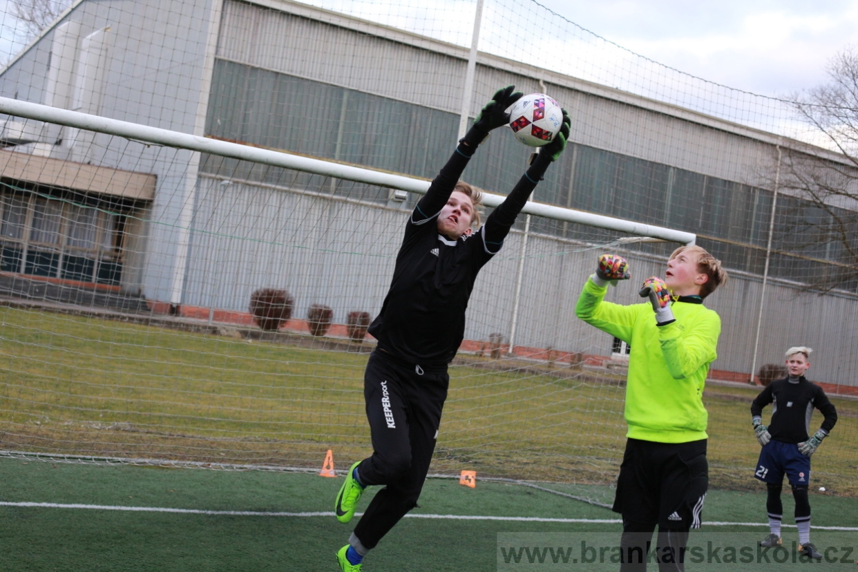 BFŠJCH - Zima 2018 - Pátek