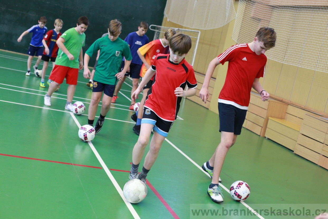 BFŠJCH - Zima 2018 - Pátek