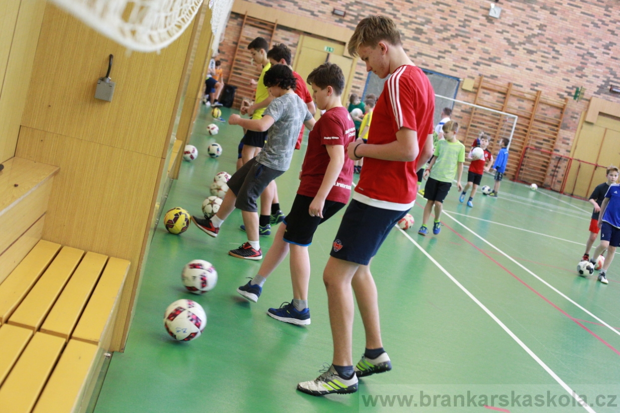 BFŠJCH - Zima 2018 - Pátek