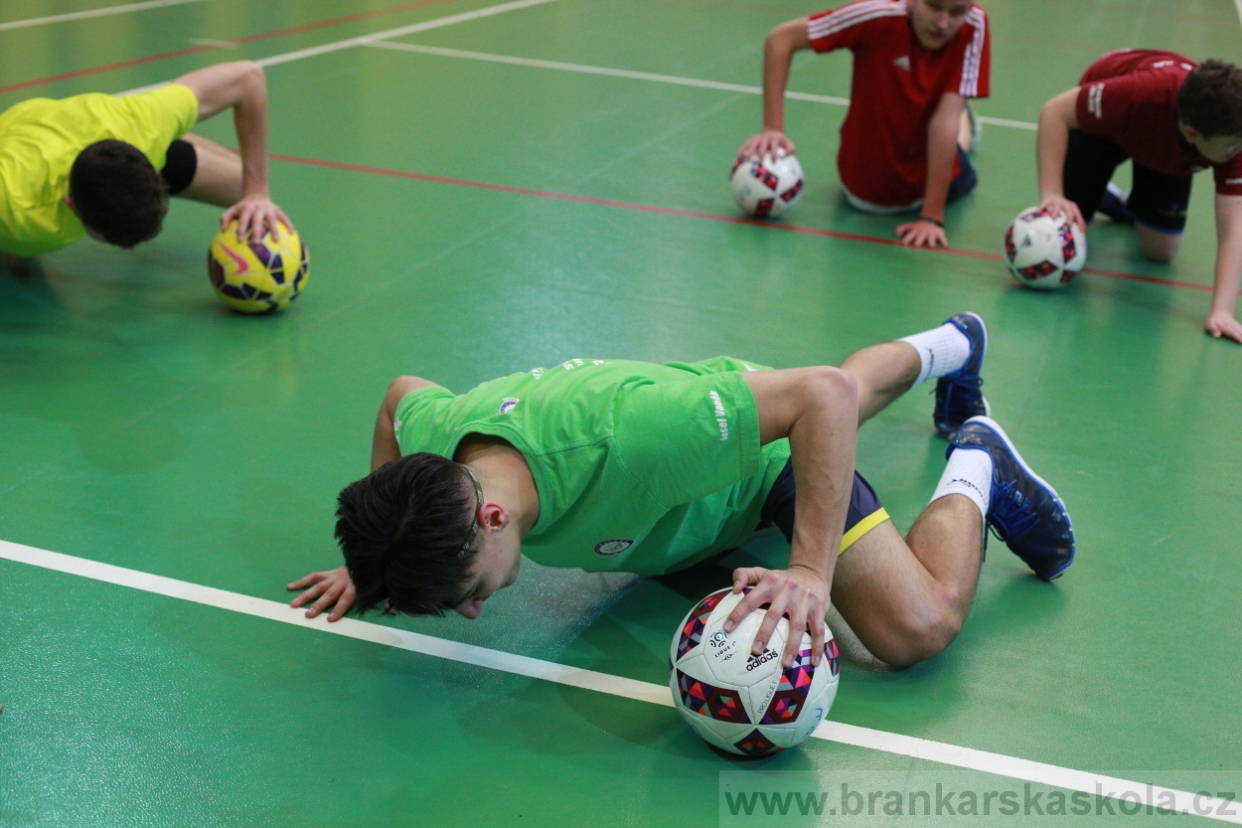 BFŠJCH - Zima 2018 - Pátek