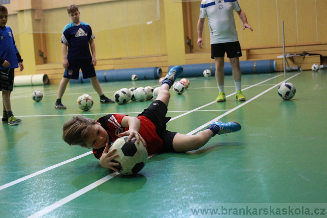 BFŠJCH - Zima 2018 - Pátek