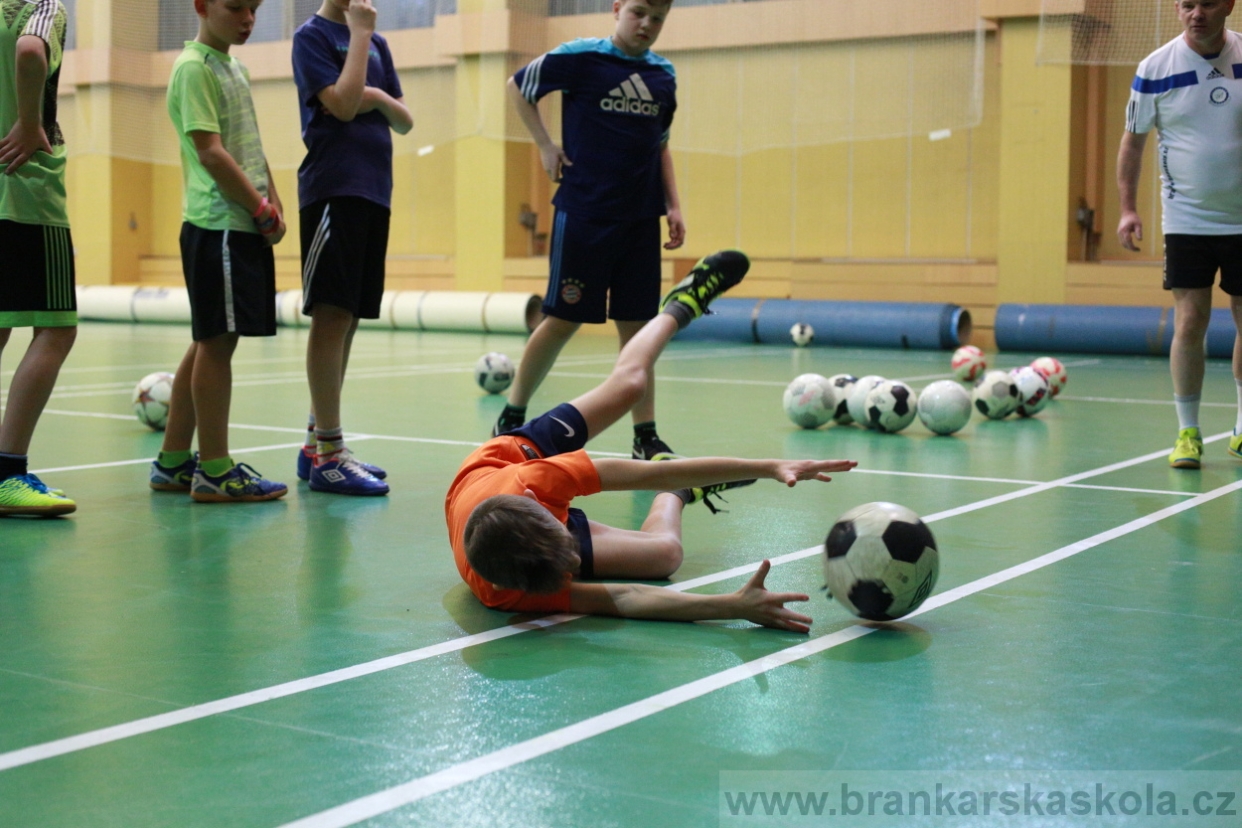 BFŠJCH - Zima 2018 - Pátek