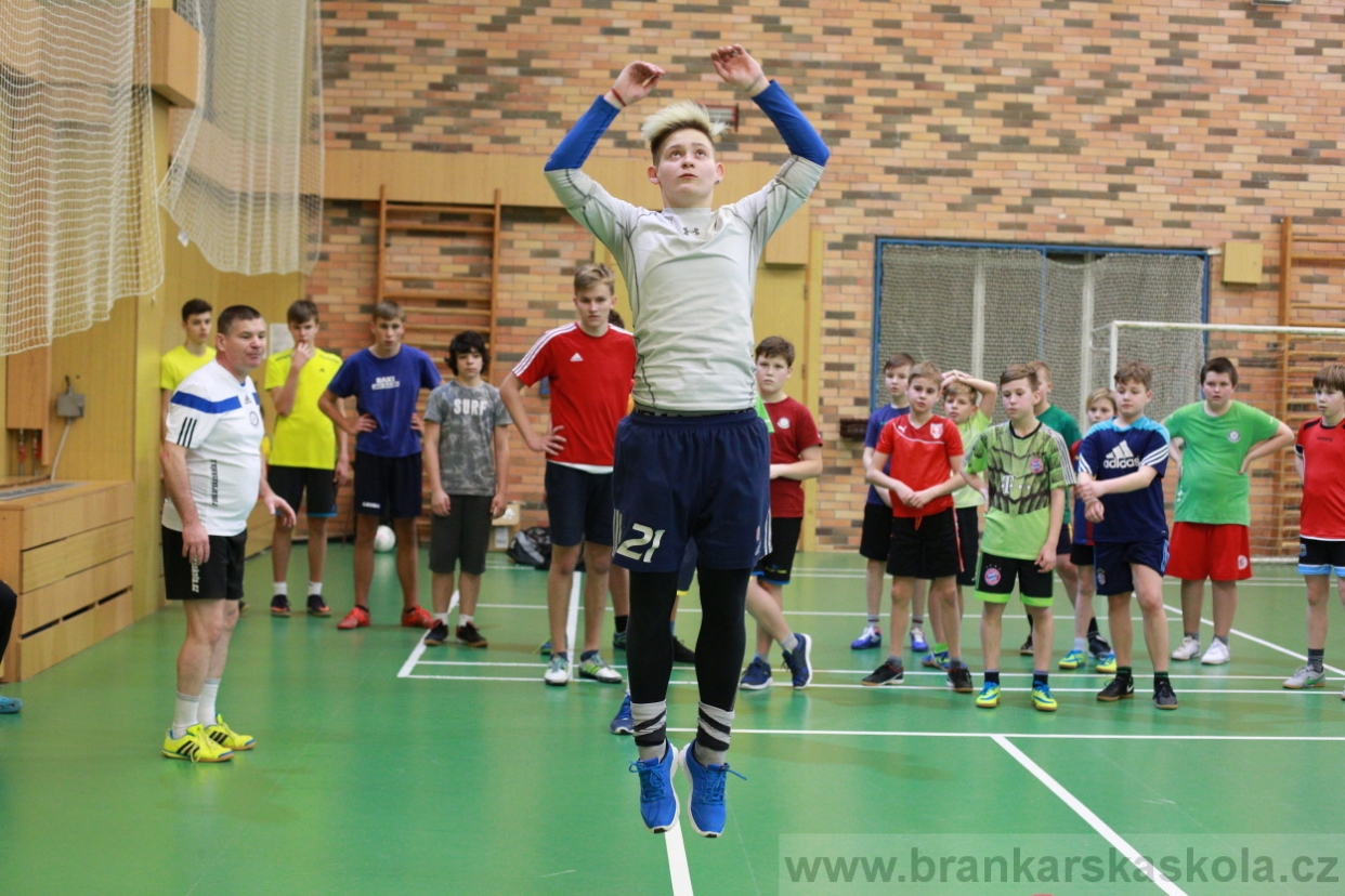 BFŠJCH - Zima 2018 - Pátek